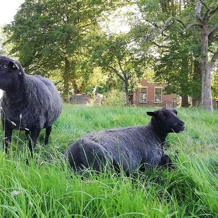 'T Pekelhuis - Vakantiehuisje Op Boerderij Huize Blokland Hem Kültér fotó